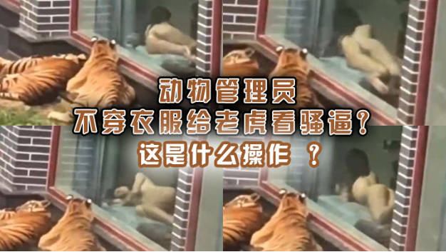 动物管理员不穿衣服给老虎看骚逼这是什么操作