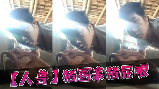 人兽猪圈亲猪屁眼